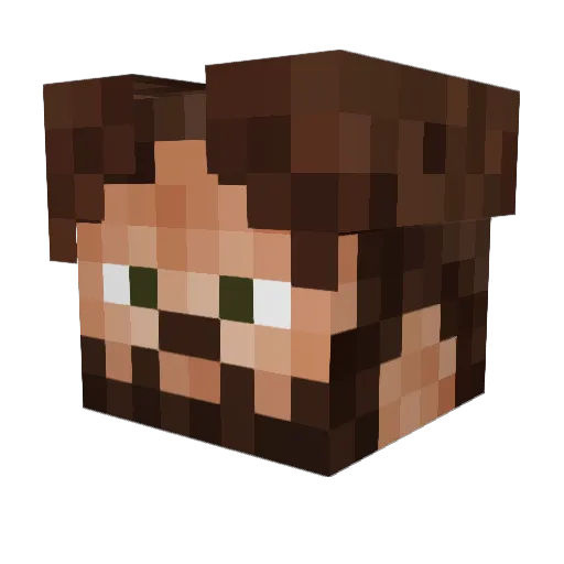 waze_FX Minecraft avatar head, 3D render
