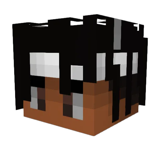 wb_bls Minecraft avatar head, 3D render