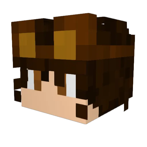 wbird99 Minecraft avatar head, 3D render