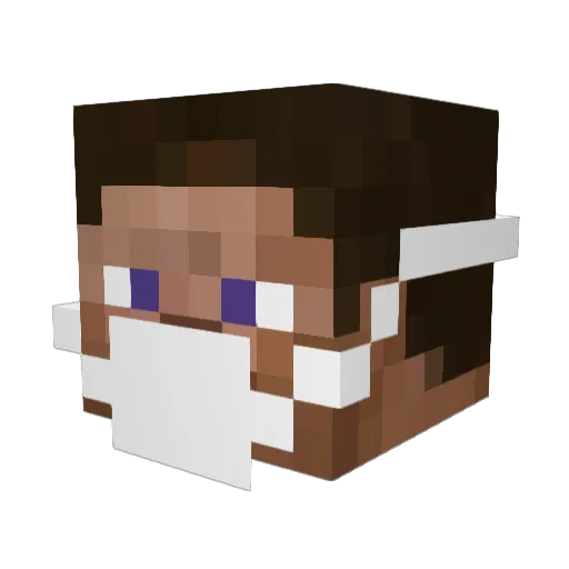 wbjo215 Minecraft avatar head, 3D render