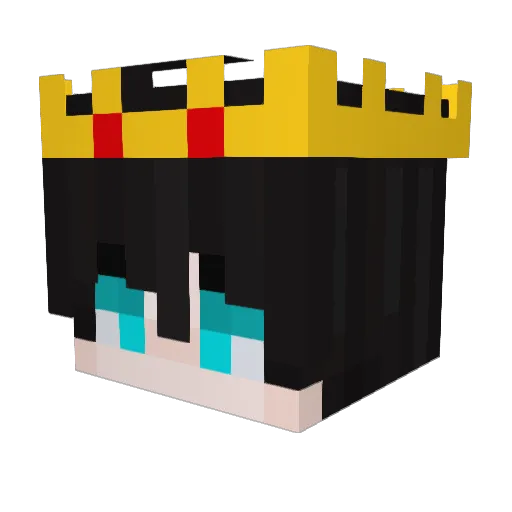 wbloc__ Minecraft avatar head, 3D render