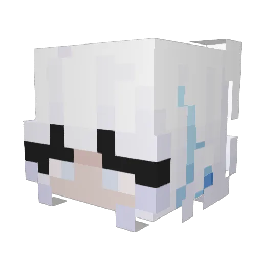 wbpooks Minecraft avatar head, 3D render