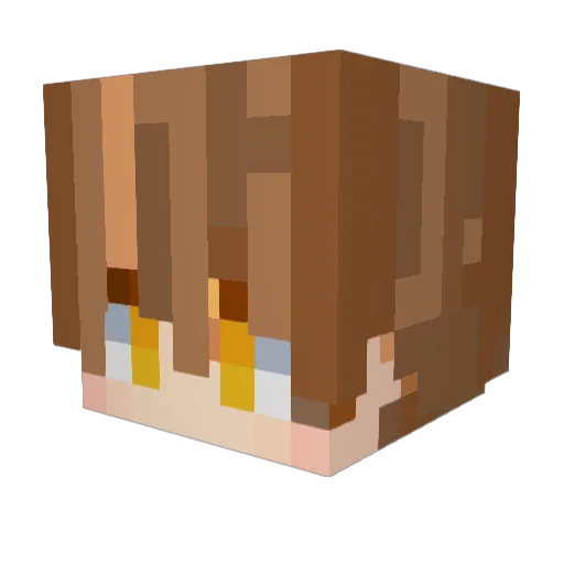 wbswjd Minecraft avatar head, 3D render