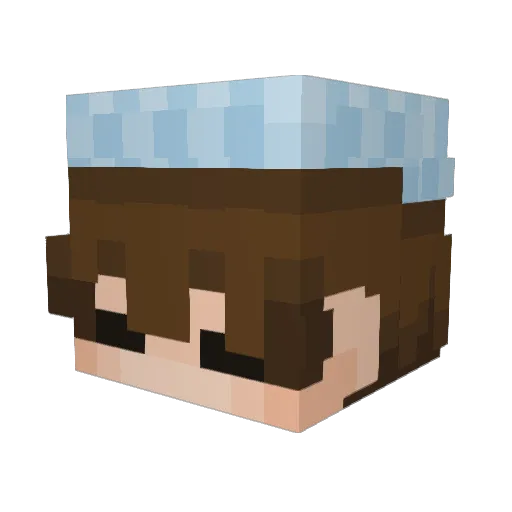wbxs Minecraft avatar head, 3D render