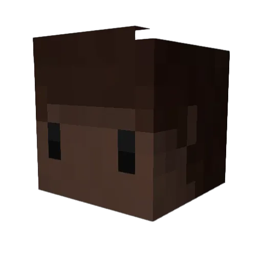 wcad3n Minecraft avatar head, 3D render
