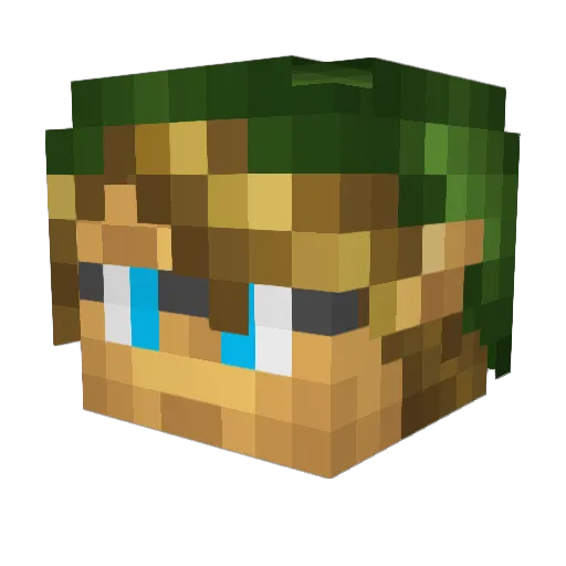 wcb9000 Minecraft avatar head, 3D render