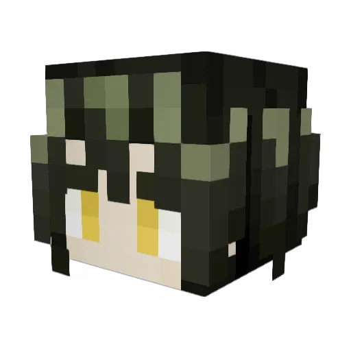 wcr520 Minecraft avatar head, 3D render