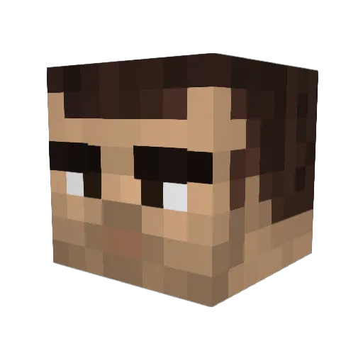 wcskiller113 Minecraft avatar head, 3D render