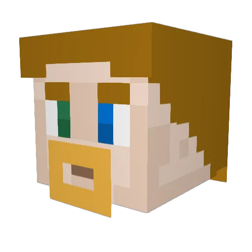 wda21 Minecraft avatar head, 3D render