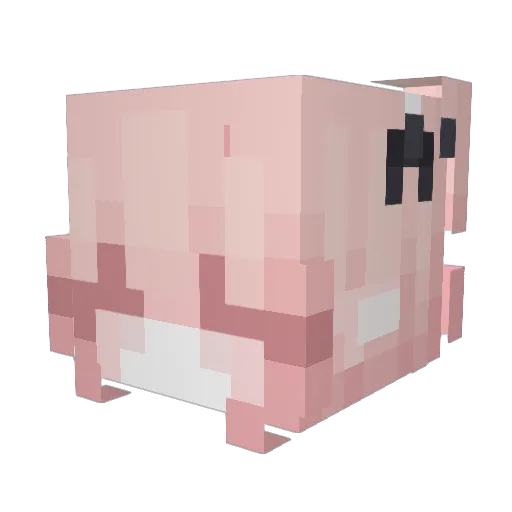 wdb150 Minecraft avatar head, 3D render