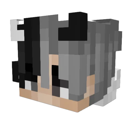 wdd9700 Minecraft avatar head, 3D render