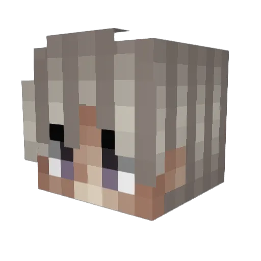 wdesyncUwU Minecraft avatar head, 3D render