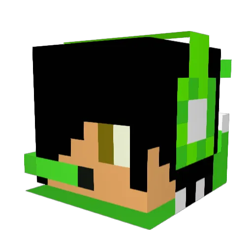 wdfyz111 Minecraft avatar head, 3D render