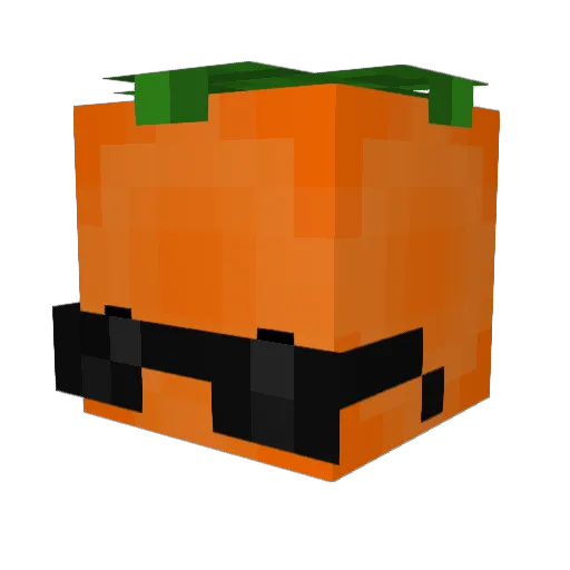wdhs Minecraft avatar head, 3D render