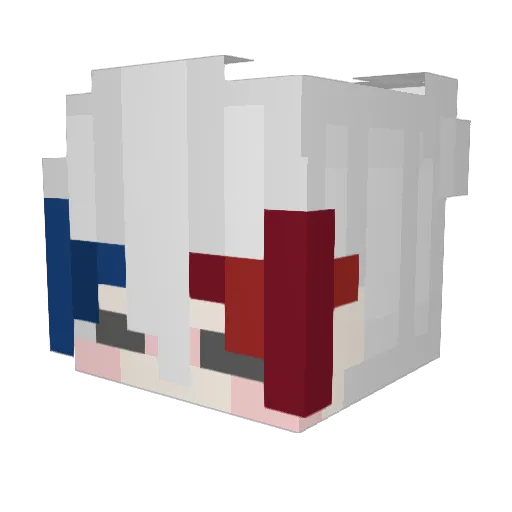 wdnma Minecraft avatar head, 3D render
