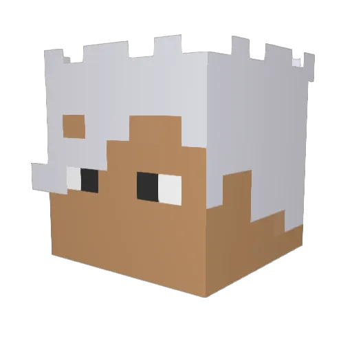 wdnmd_nmsl Minecraft avatar head, 3D render