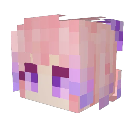 wdnnndd Minecraft avatar head, 3D render
