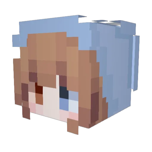 wdsa7767 Minecraft avatar head, 3D render