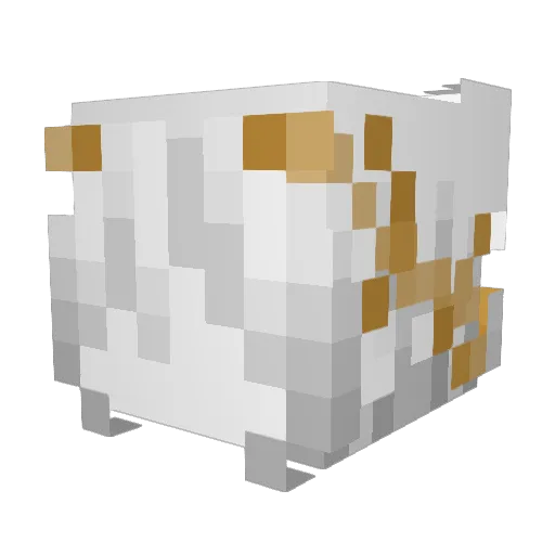 wdty Minecraft avatar head, 3D render