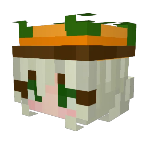 wdwsmtvs Minecraft avatar head, 3D render