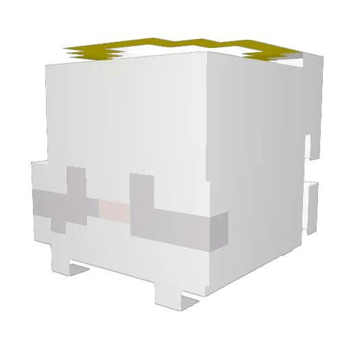 wdyseeme Minecraft avatar head, 3D render