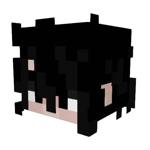 wdywfm24 Minecraft avatar head, 3D render