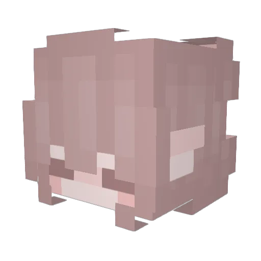 we4646 Minecraft avatar head, 3D render