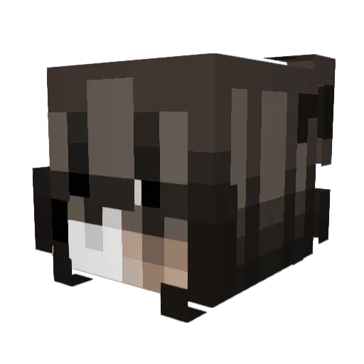 we5rx Minecraft avatar head, 3D render