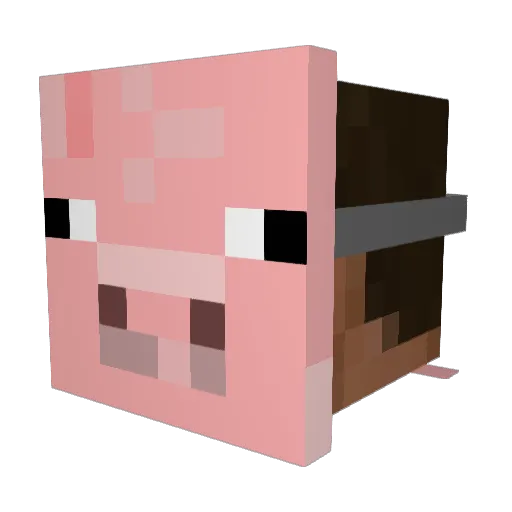 weakerino Minecraft avatar head, 3D render