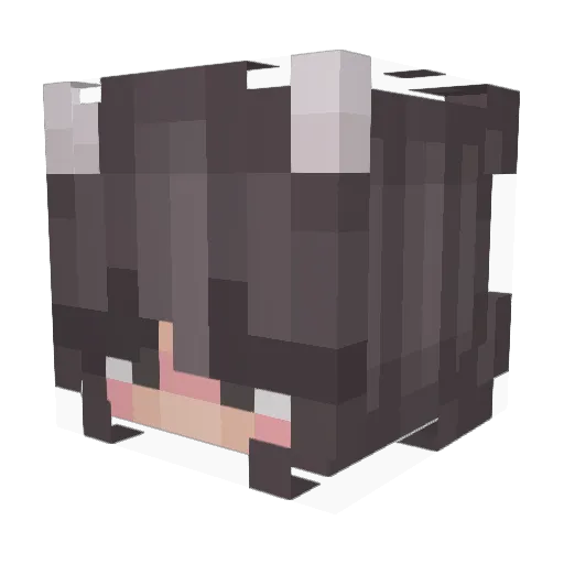 weaponized_toast Minecraft avatar head, 3D render