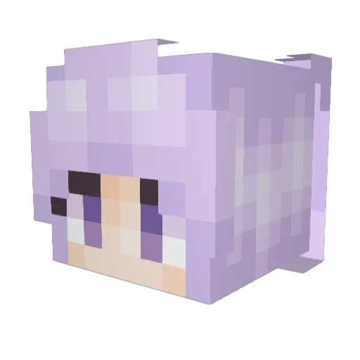 weare123 Minecraft avatar head, 3D render