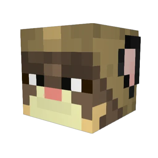 weasel2005 Minecraft avatar head, 3D render