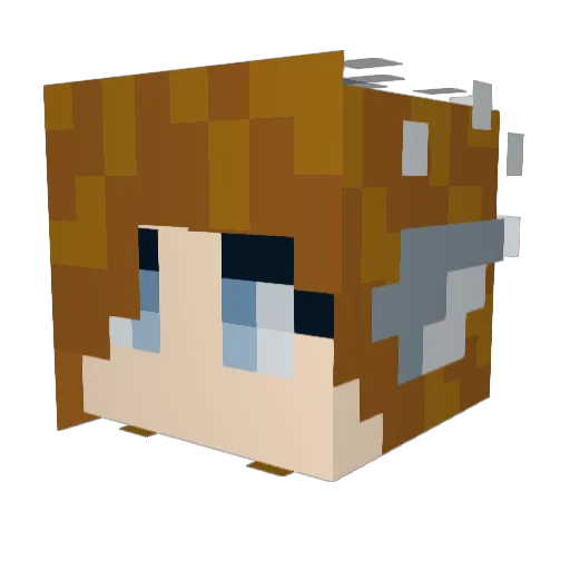 weatheredwaxwing Minecraft avatar head, 3D render
