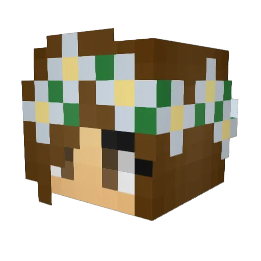 webber110 Minecraft avatar head, 3D render