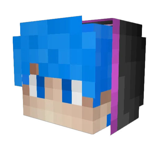 webhooknewtsw Minecraft avatar head, 3D render