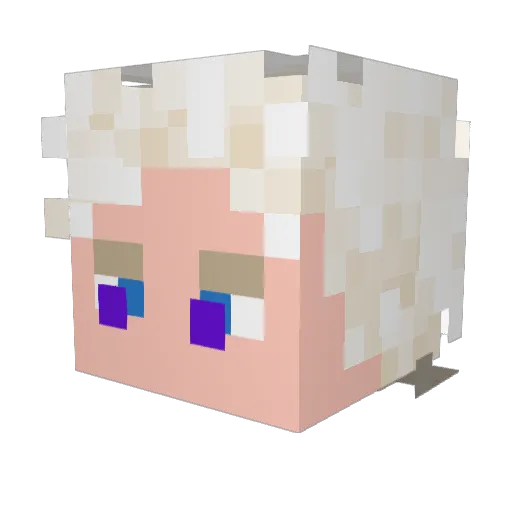 webito23 Minecraft avatar head, 3D render