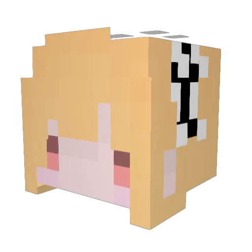 webor Minecraft avatar head, 3D render