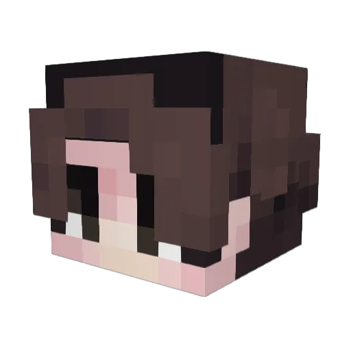 webswinging Minecraft avatar head, 3D render