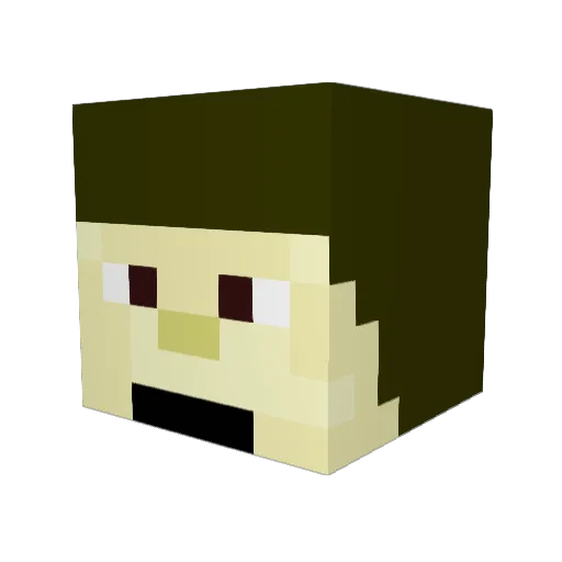 wedge1020 Minecraft avatar head, 3D render