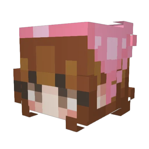 wedgeguy Minecraft avatar head, 3D render