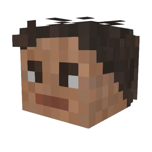 wedgins Minecraft avatar head, 3D render