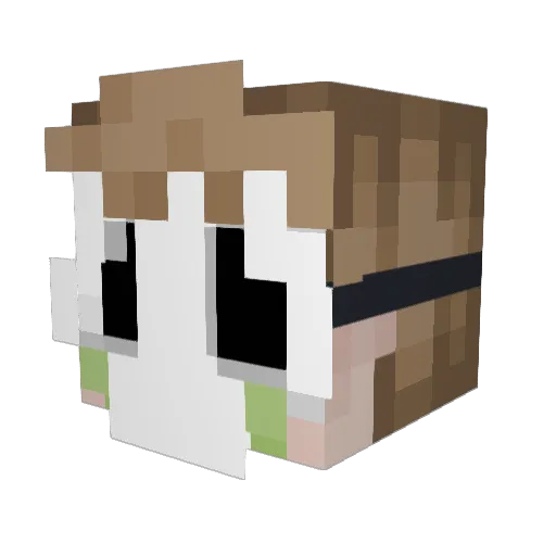 weeZerboy13 Minecraft avatar head, 3D render