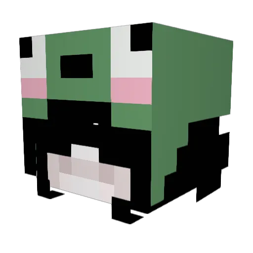 weeb111111 Minecraft avatar head, 3D render
