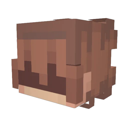 weeb2912 Minecraft avatar head, 3D render