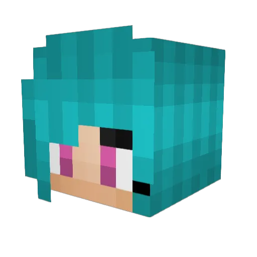 weebin Minecraft avatar head, 3D render