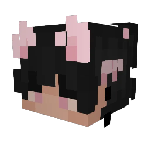 weebsfox Minecraft avatar head, 3D render