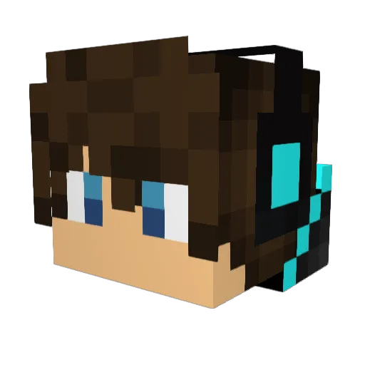 weeds865 Minecraft avatar head, 3D render