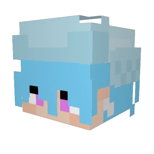 weeeirdkiiid Minecraft avatar head, 3D render