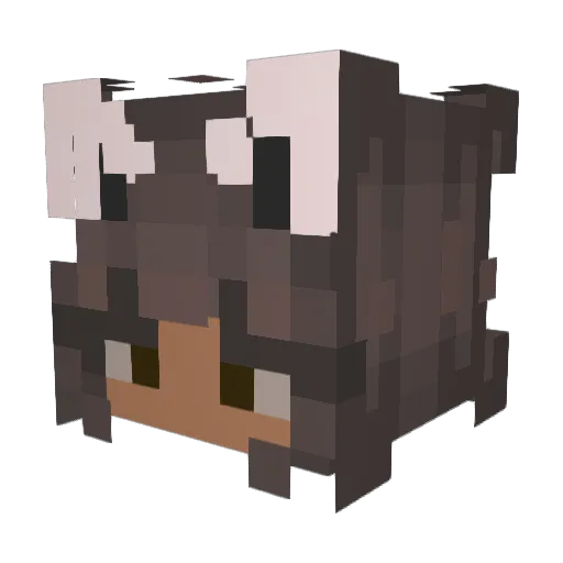 weeeshaaa Minecraft avatar head, 3D render