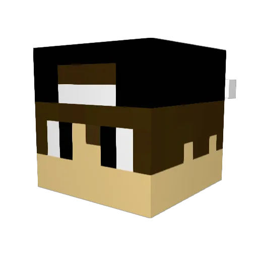 weeleo101010 Minecraft avatar head, 3D render